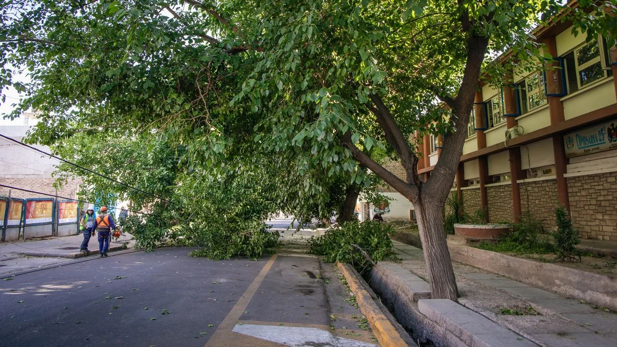 El viento Sur causó estragos y más de 70 incidentes en Mendoza