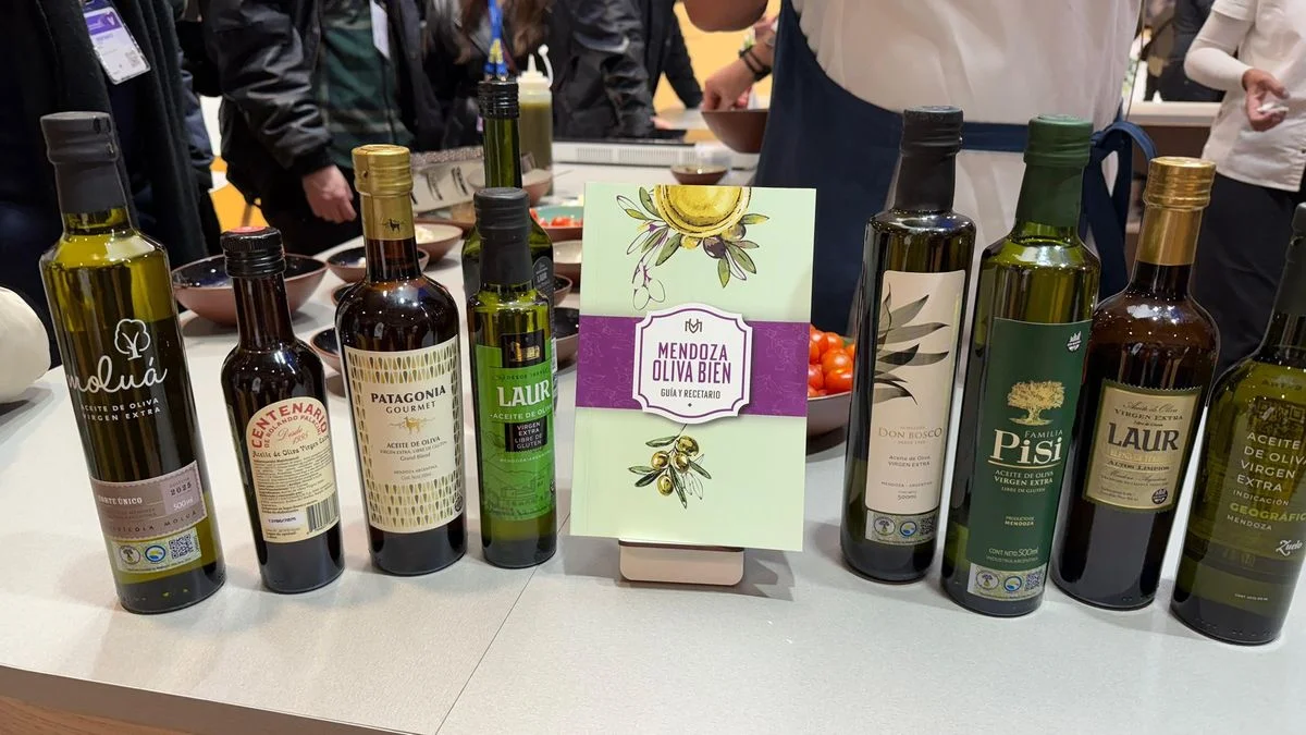 Quiénes fueron los enviados de Cornejo a España para promocionar el turismo