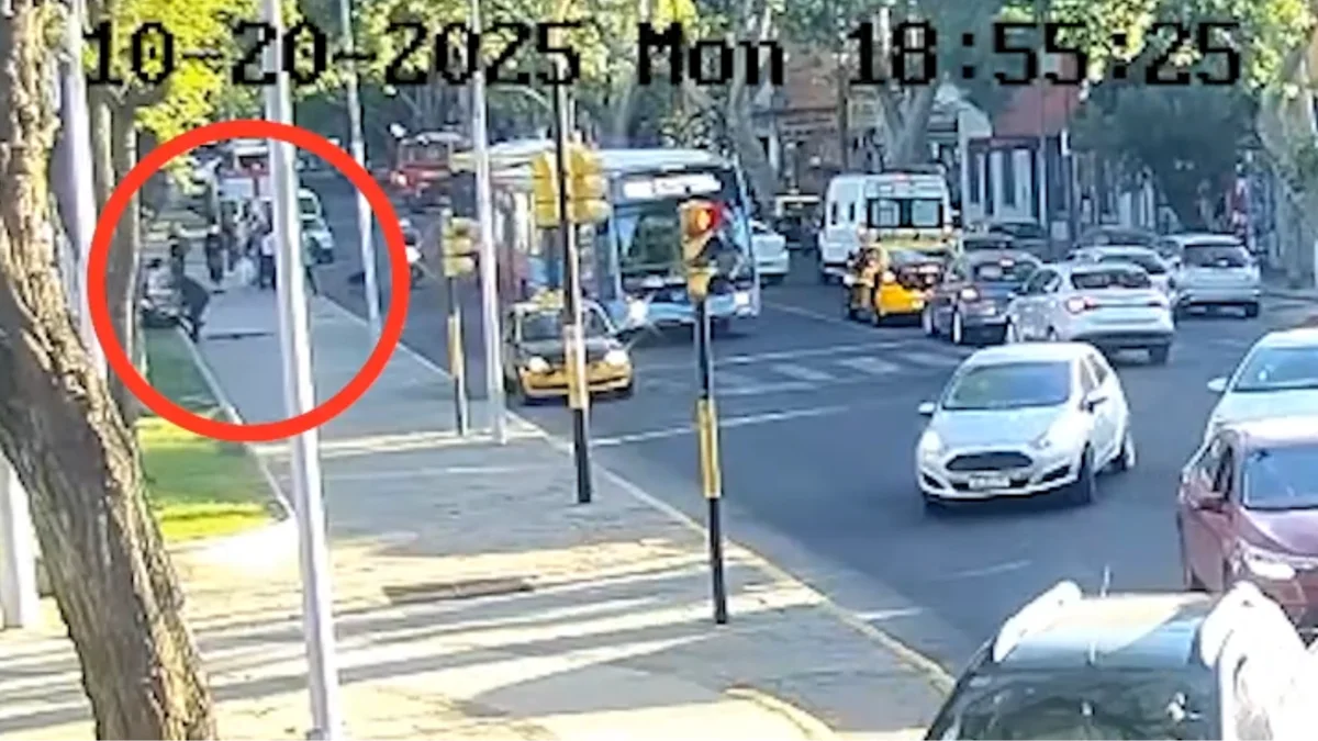 Video: así detuvieron a un delincuente que amenazó con un cuchillo a la empleada de un comercio en Ciudad