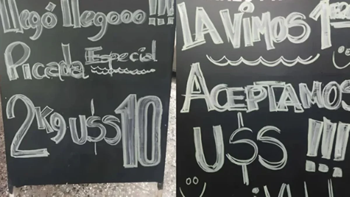 Javier Milei y el dólar como moneda: "Carne picada a US$10 dos kilos", celebró un carnicero que se hizo viral