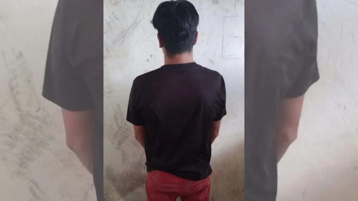 Persecución entre las viñas: intentó robar en una finca y terminó detenido