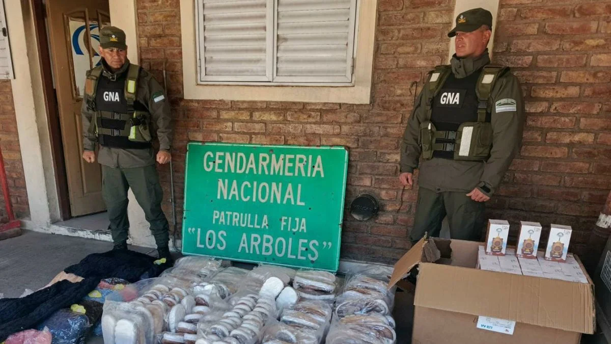 Decomiso millonario de mercadería de contrabando que intentaban ingresar desde Chile