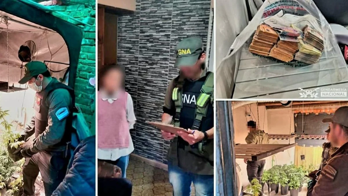 Desbarataron a una banda narco que operaba en Mendoza: ocho detenidos en múltiples allanamientos