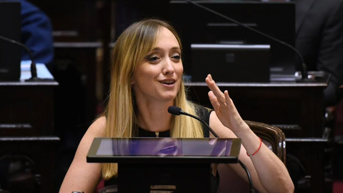 La pregunta de Anabel Fernández Sagasti que expuso al flamante ministro de la Corte Suprema