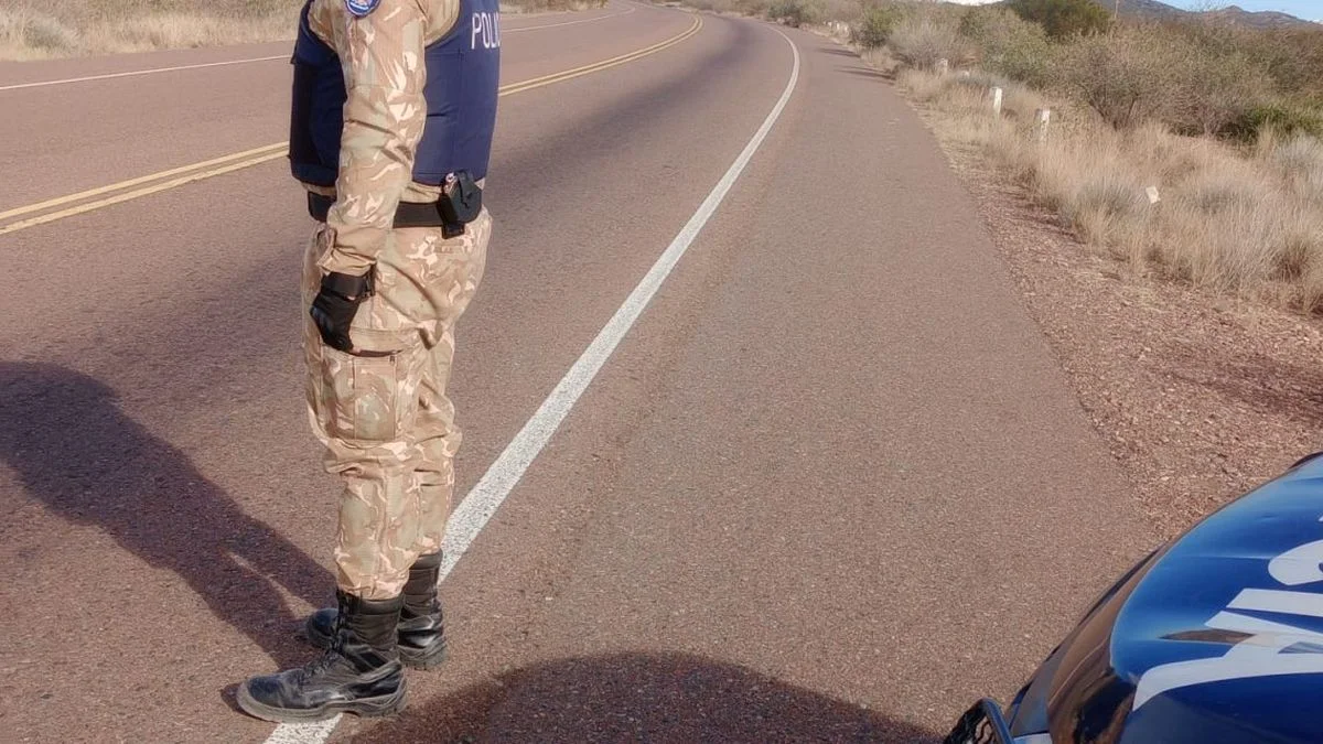 La Policía Rural rescató a una yegua en un domicilio particular de Guaymallén