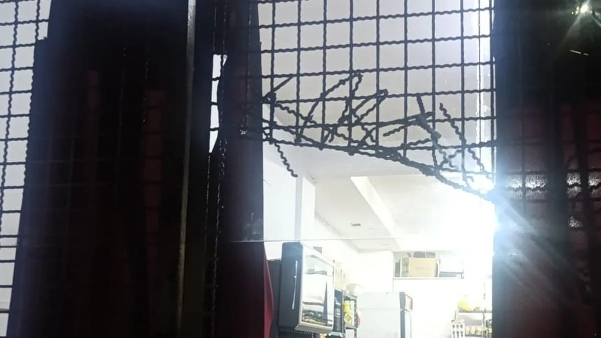 Rompieron una reja para robar en un minimarket de Ciudad: fueron detenidos
