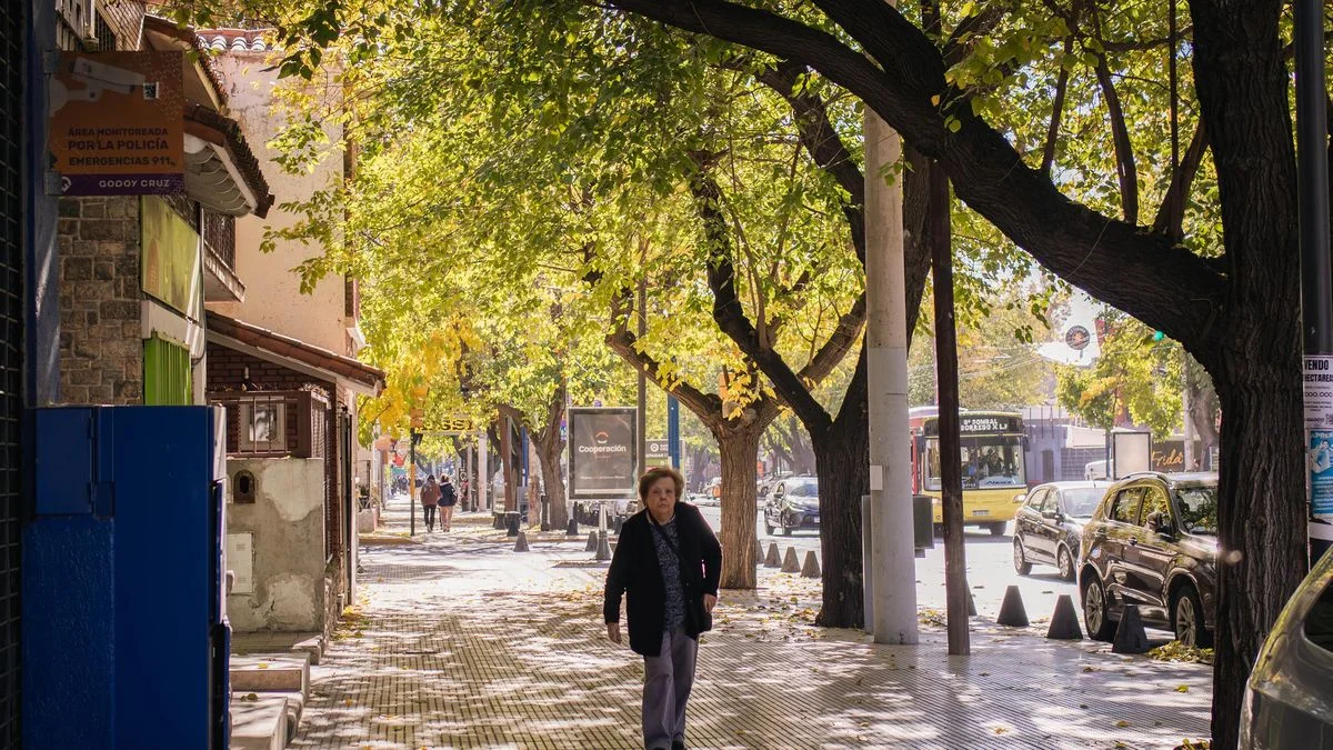 El tiempo en Mendoza: baja la temperatura y estará parcialmente nublado