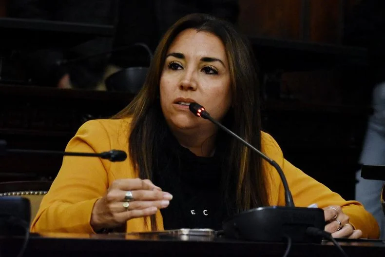 La diputada Cintia G&oacute;mez (Pro).&nbsp;