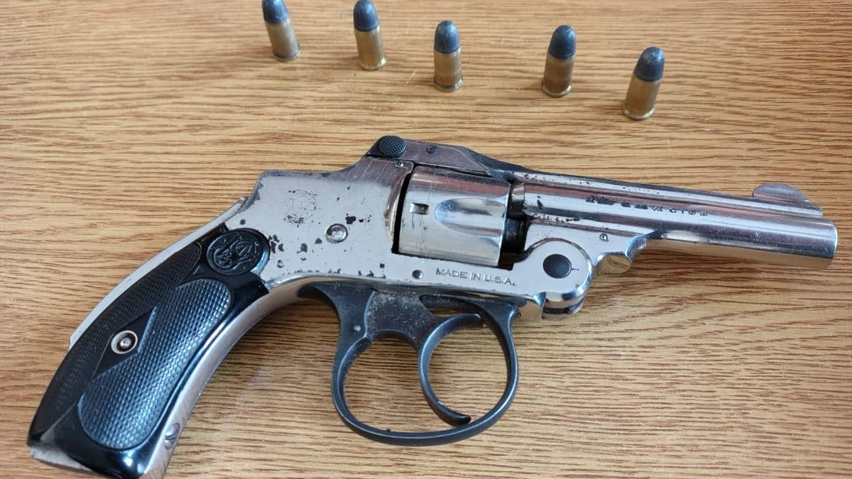 Guaymallén: varias personas detenidas por portar armas, una de ellas realizó disparos en la vía pública