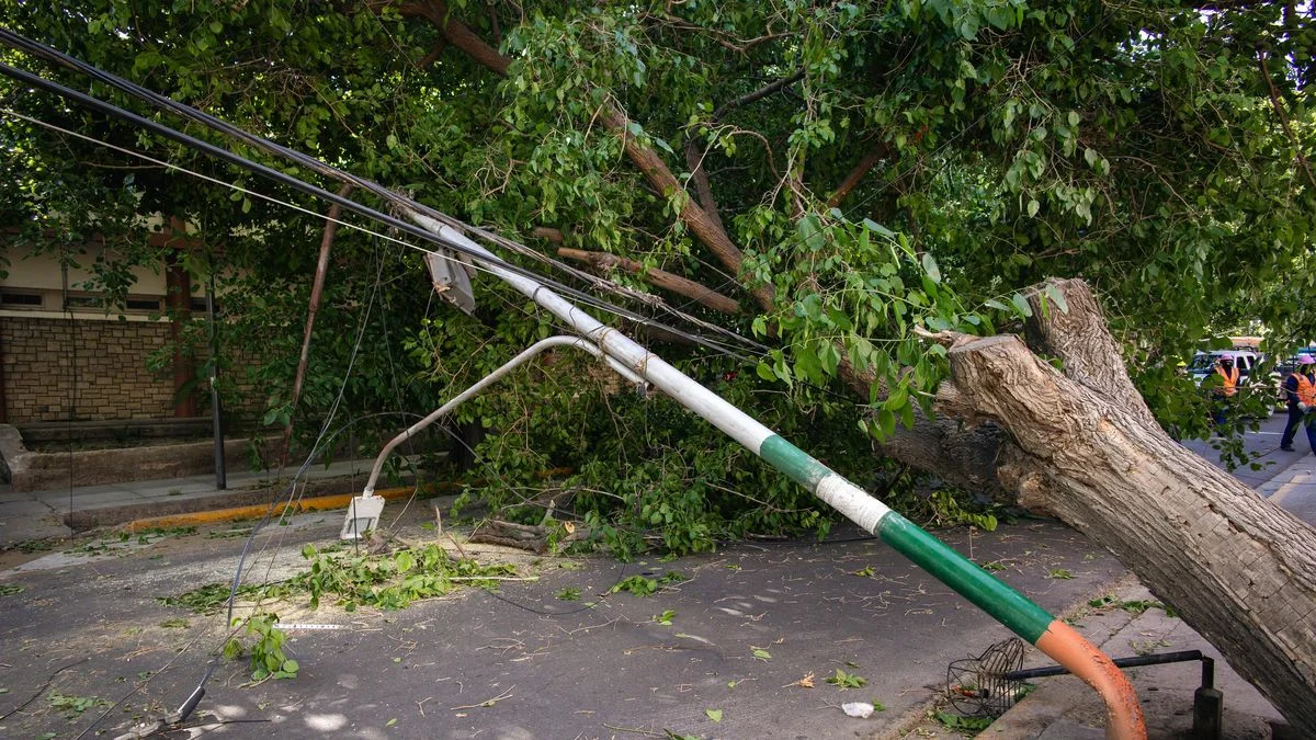 Lo que dejó el fuerte viento en el Gran Mendoza: Defensa Civil tuvo que intervenir en 129 incidentes