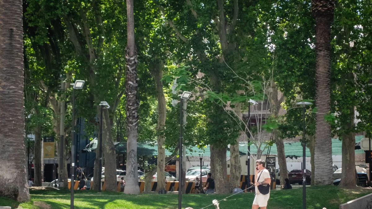 Pronóstico: alerta por altas temperaturas y probabilidad de tormentas aisladas en Mendoza