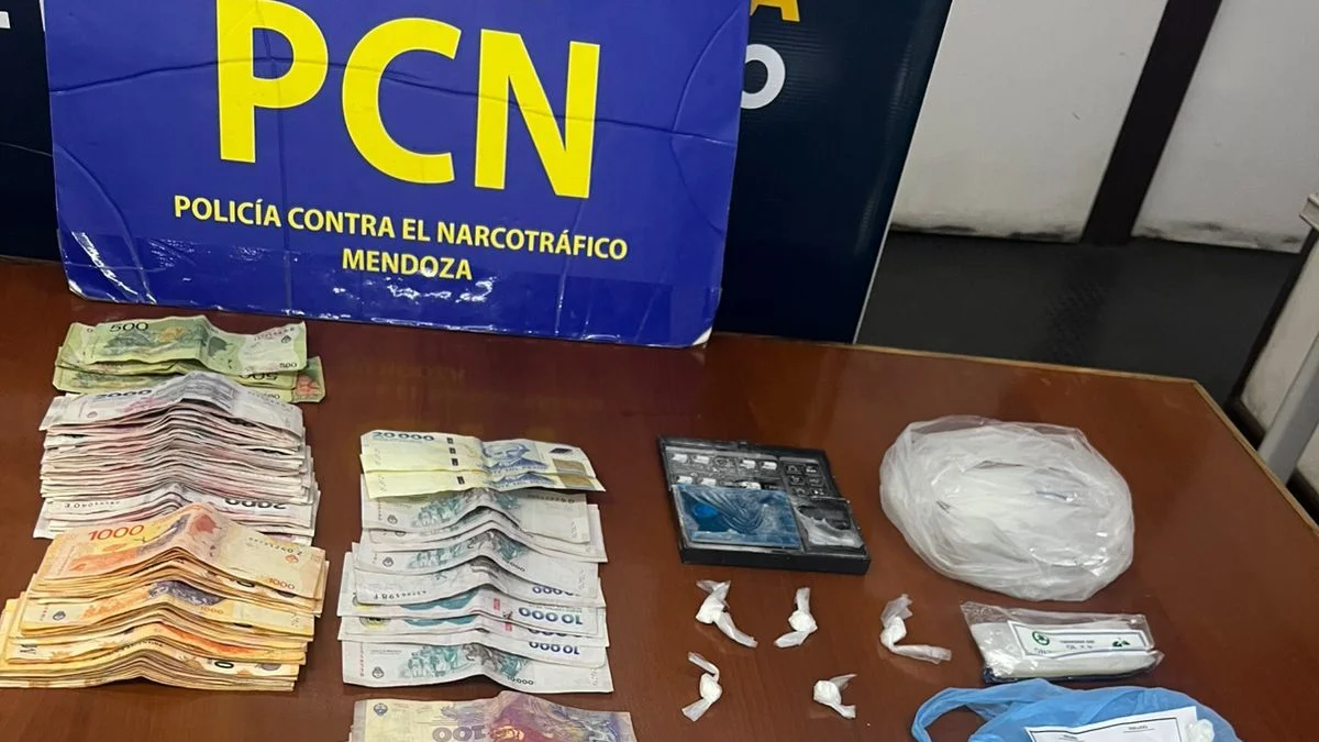 Una mujer detenida y un "kiosquito" narco desactivado en Las Heras