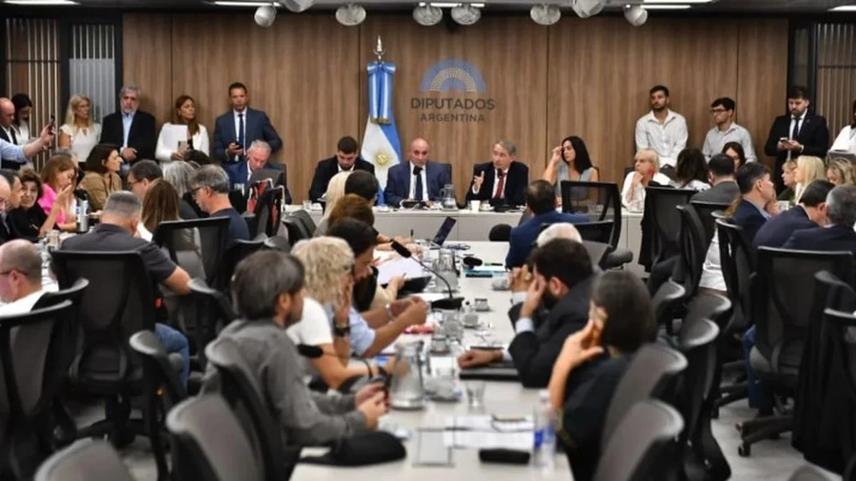 Reforma de la Ley de Glaciares: aquí podés seguir en vivo la audiencia, que tiene más de 100 mil inscriptos