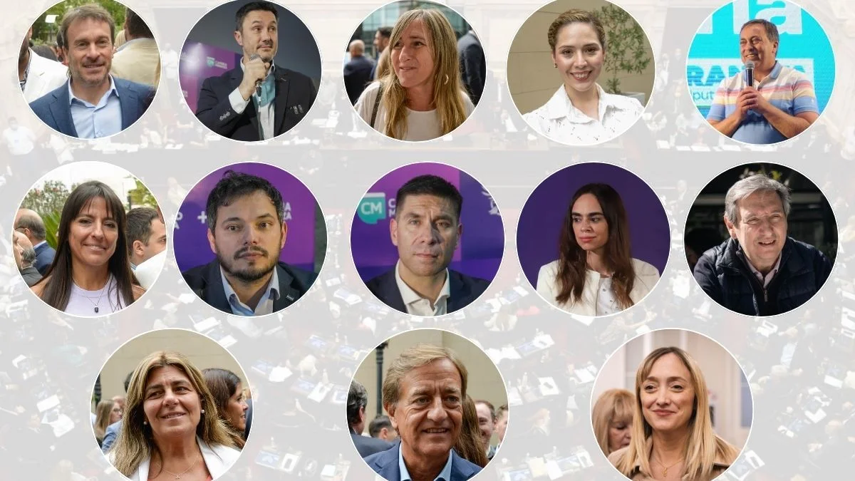 Diputados y senadores: quiénes le dieron la espalda a universidades, discapacidad y zona fría