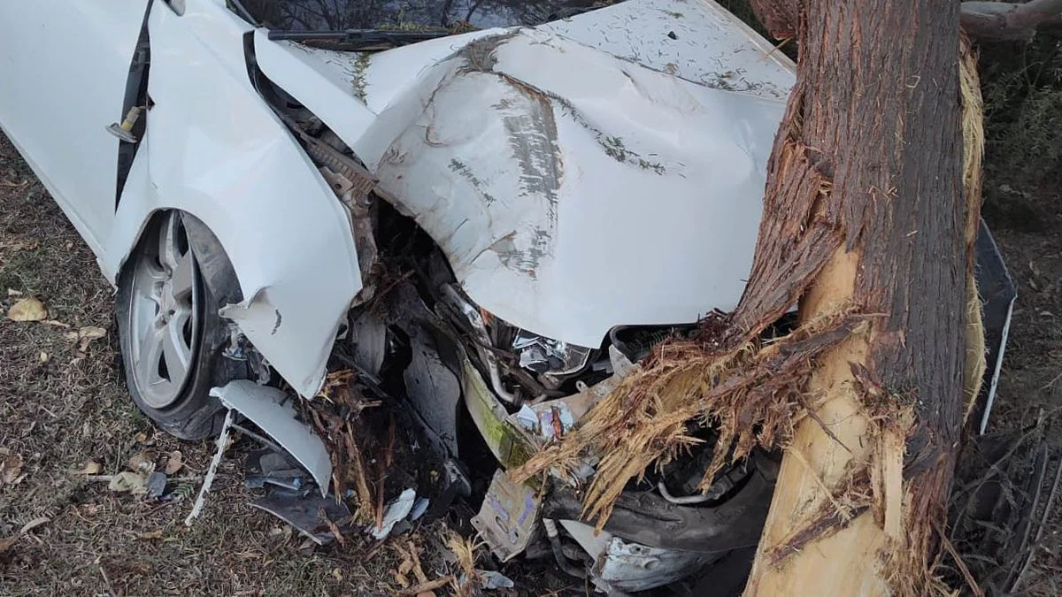 Una policía sufrió heridas tras chocar con su auto contra un árbol en Lavalle