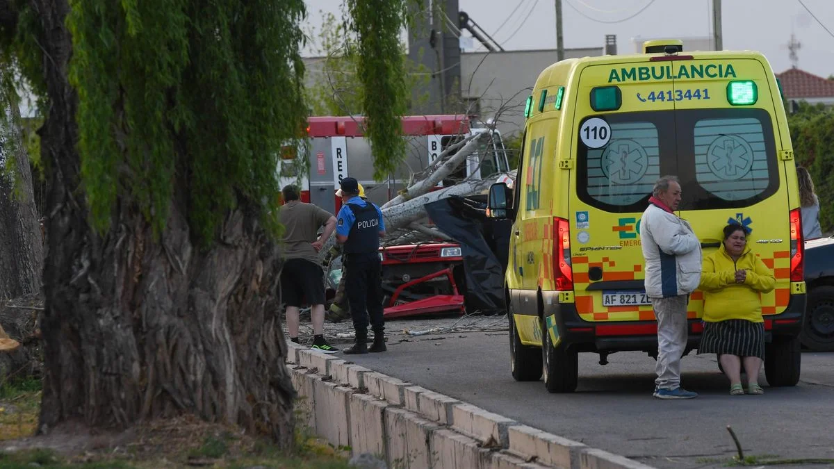 Maipú: una mujer conducía su auto, cayó un árbol y murió