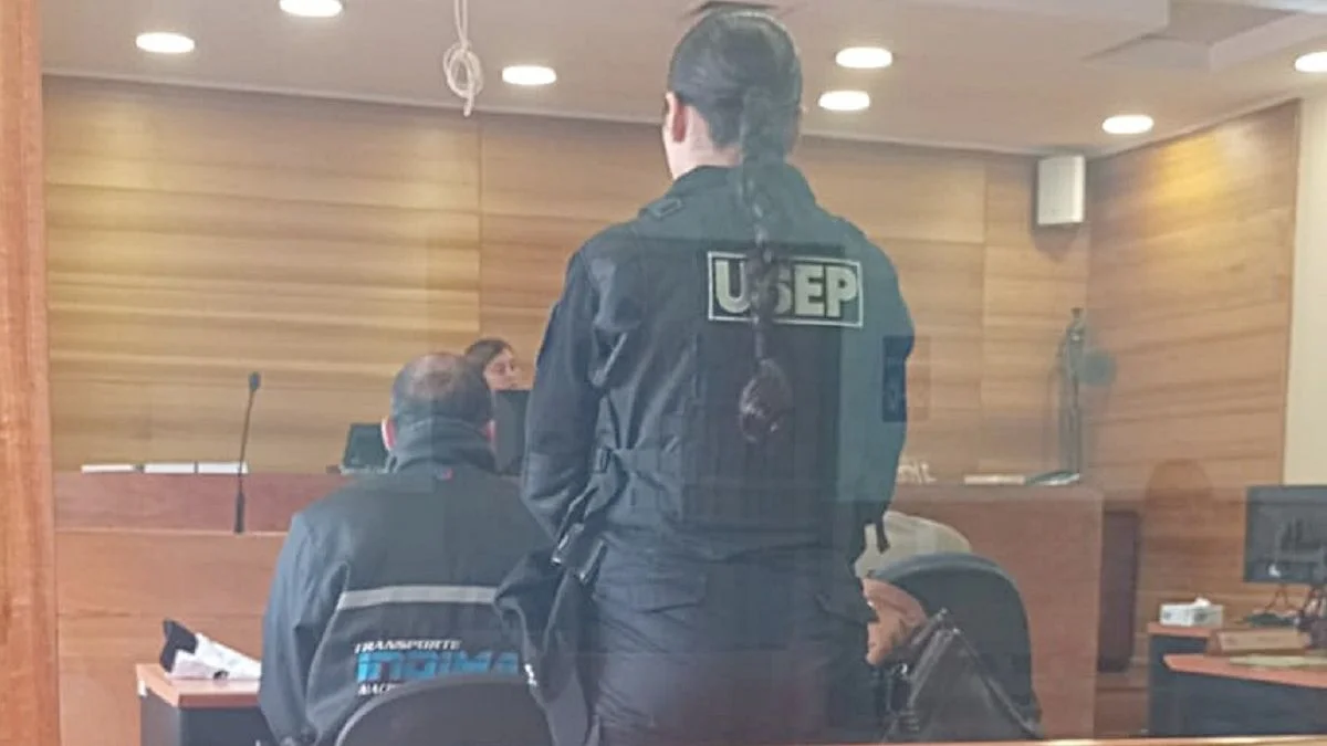 Un chofer mendocino quedó detenido en Chile tras una requisa en el Cristo Redentor: llevaba más de 50 balas