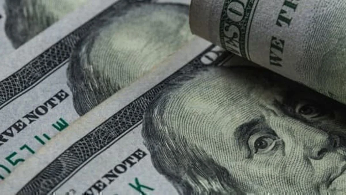 Se desploma el dólar oficial: a cuánto cerró la primera semana sin cepo