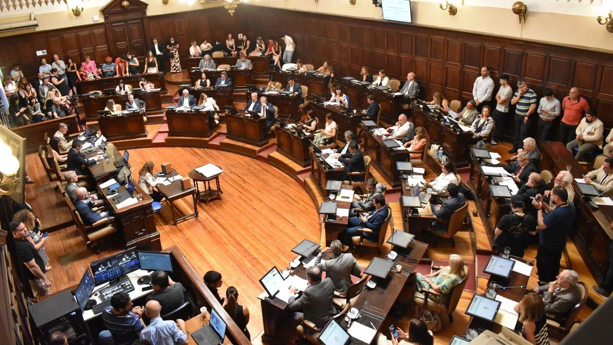 Declaraciones de interés, la fábrica de humo de la Legislatura: free pass para favores y canjes