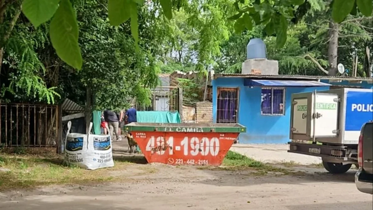 Impactante hallazgo: una mujer de 64 años, 16 perros y 12 gatos fueron encontrados sin vida en una vivienda