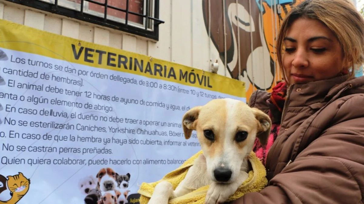 Nuevo operativo de salud animal en Luján: dónde y a qué hora prestarán servicios gratuitos