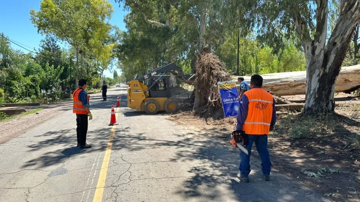 San Martín: tardarán semanas en sacar los árboles caídos en la ruta 50
