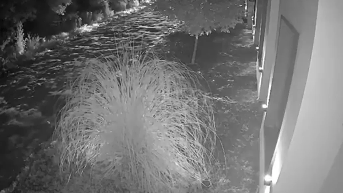 Video | Atacaron la casa de un compañero con discapacidad con pirotecnia e insultos