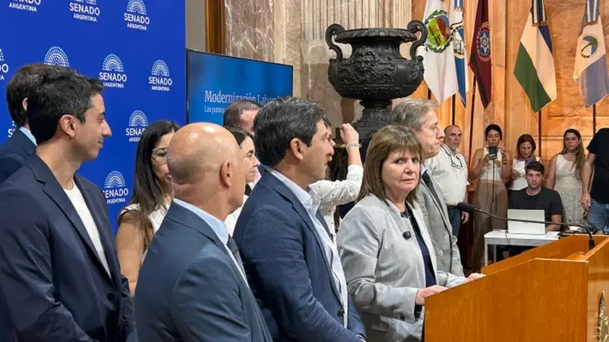 El PRO no acompañará el polémico artículo 44 que reduce los salarios en caso de enfermedad
