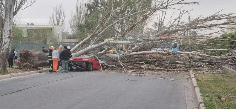 Impactantes imágenes de la tragedia en Maipú. 