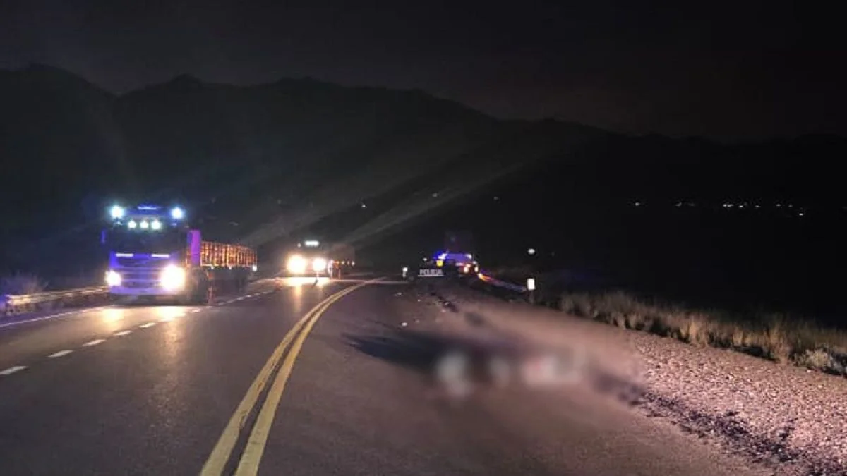 Grave accidente en la Ruta Nacional 7: dos personas fueron atropelladas por un camión