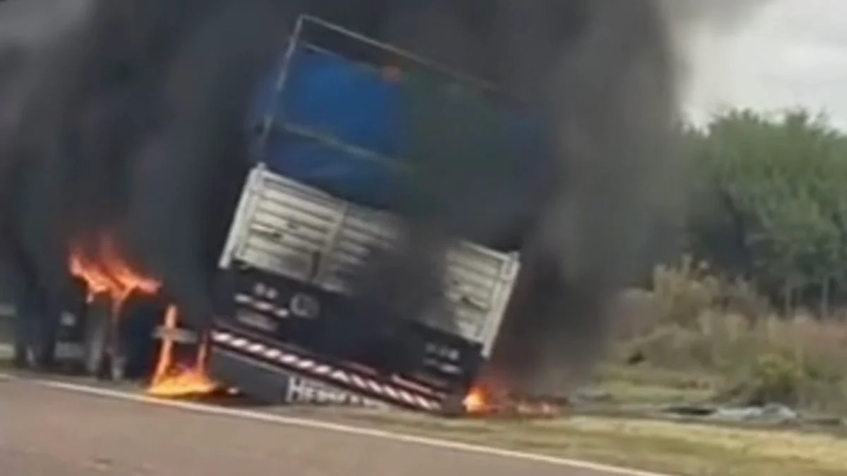 Accidente con suerte en General Alvear: un camión con guano se prendió fuego al costado de la ruta