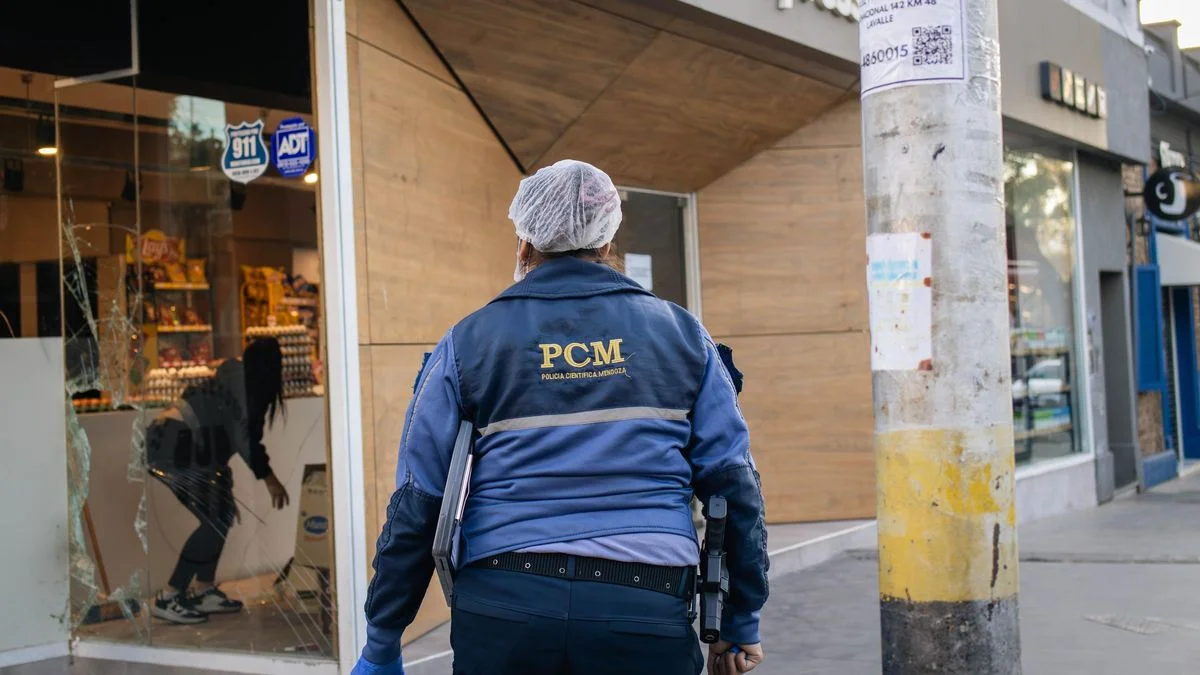 Video: reventó una vidriera e ingresó a un comercio de Ciudad para robar