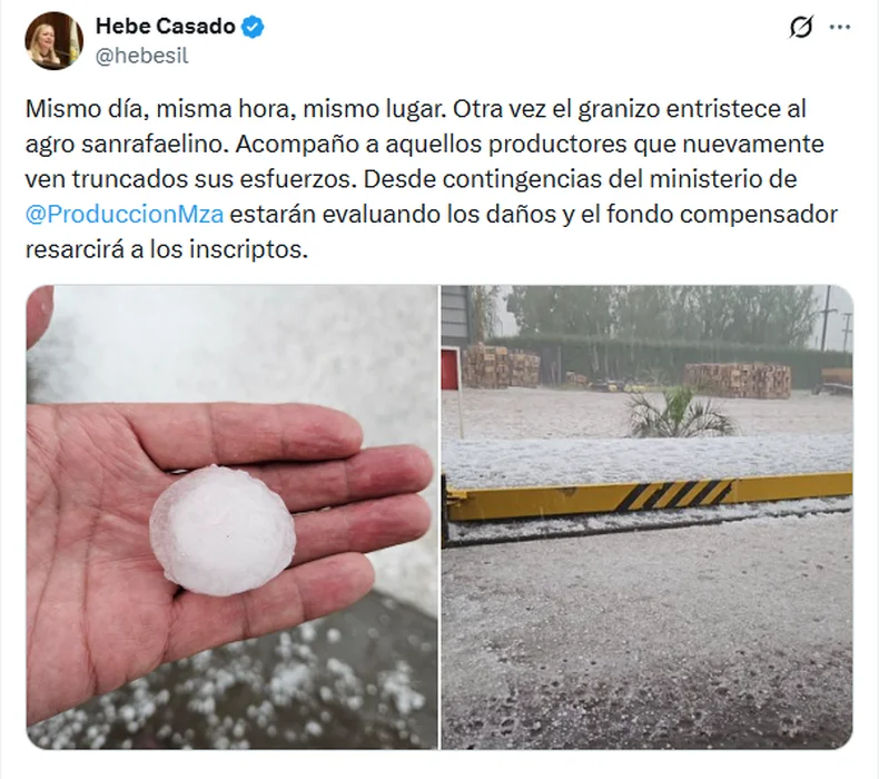 Hebe Casado fue una de las primeras en postear despu&eacute;s de la tormenta.&nbsp;