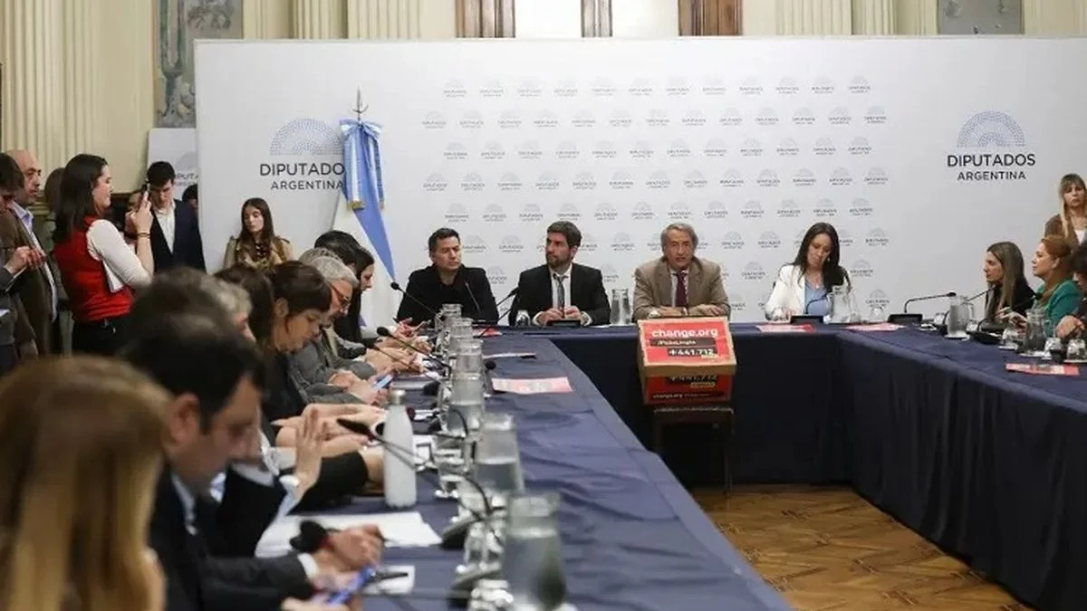 Ahora, ficha limpia: los que no podrán competir según el proyecto que comienza a debatir Diputados