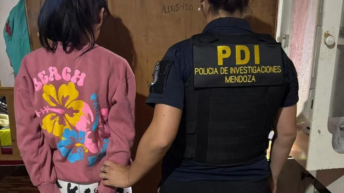 Desmantelan banda delictiva acusada de robos en un shopping de San Juan