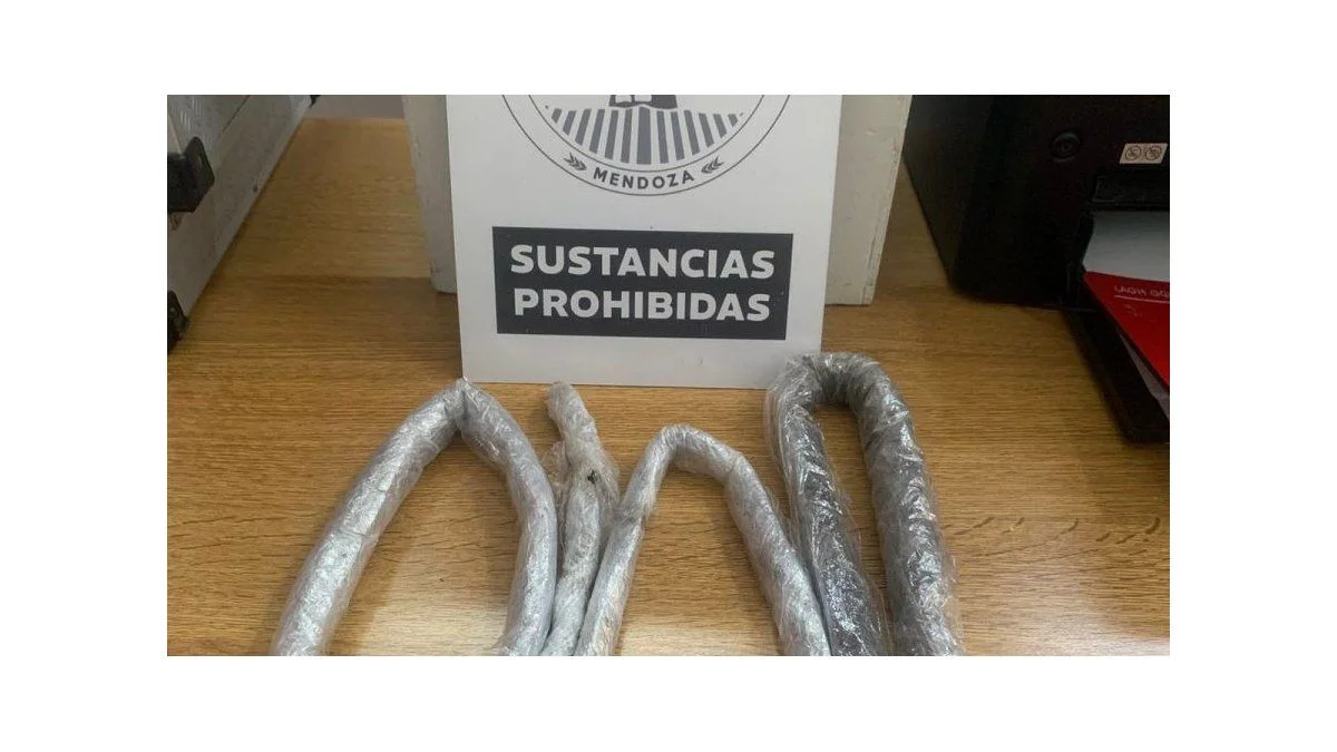 Lo descubrieron cuando intentó ingresar marihuana escondida en su silla de ruedas al penal de San Felipe