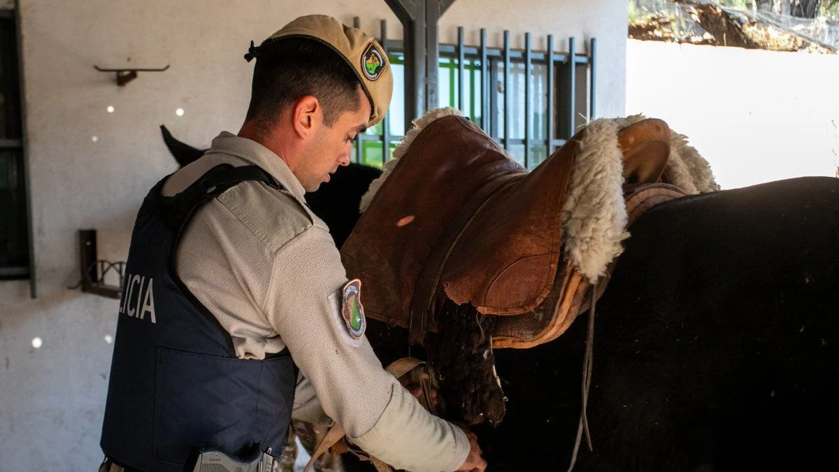 General Alvear: cuatro hombres fueron procesados por caza furtiva