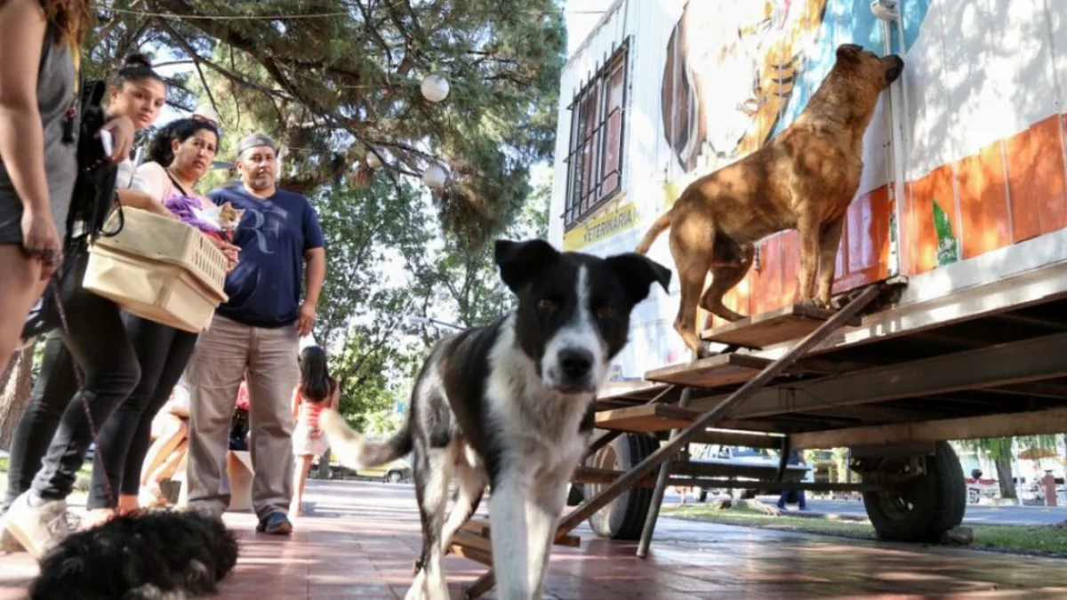 Luján de Cuyo se suma a los festejos por el Día del Animal