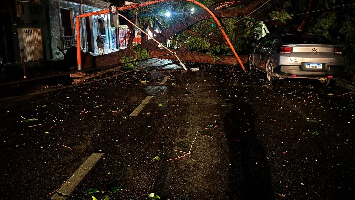 Lo que dejó la tormenta en Mendoza: casi 150 intervenciones de Defensa Civil y el rescate de un chico