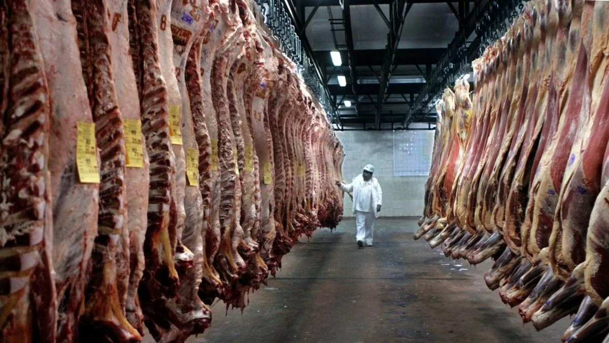 La crítica situación de la industria manufacturera nacional