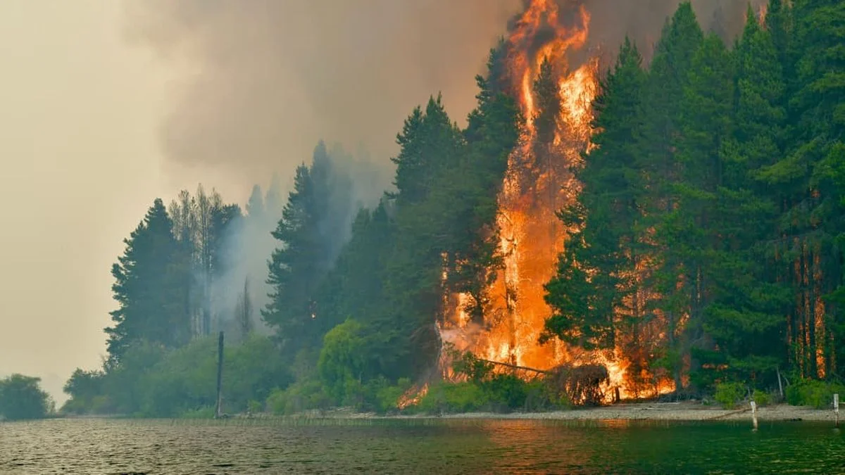 Incendios en la Patagonia: combaten el fuego en el Parque Nacional Los Alerces