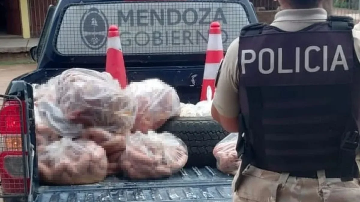 Decomisan en un comercio de Las Heras 340 kilos de carne en mal estado