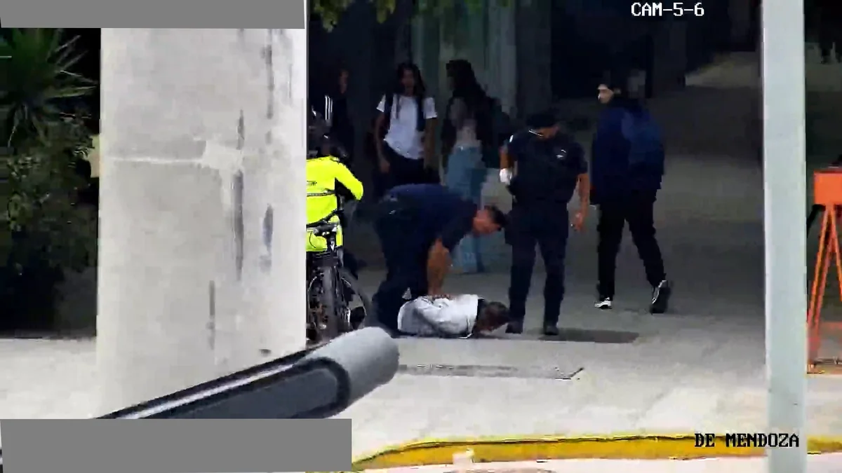 Video: tras una persecución, detienen a un ladrón que robó en un auto estacionado en Ciudad
