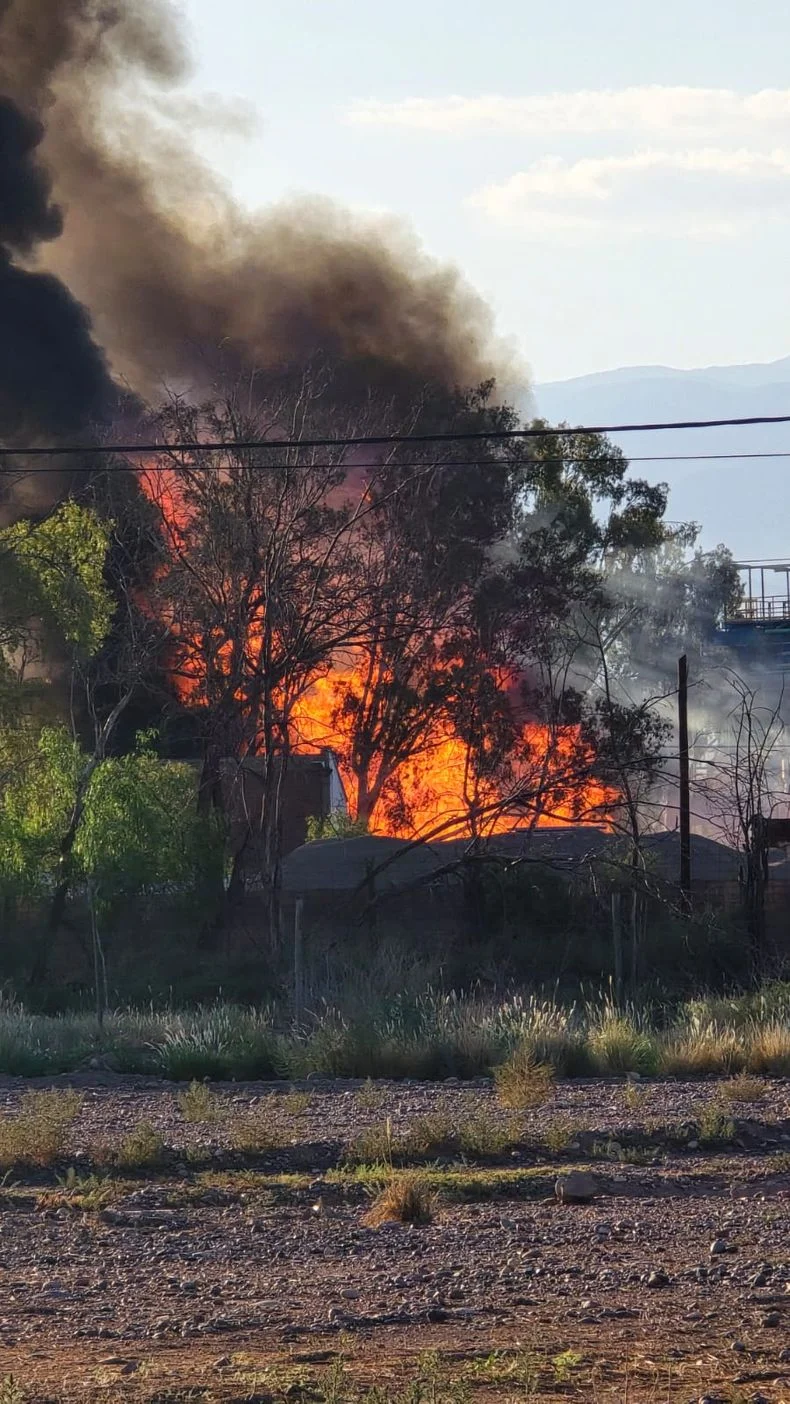 El incendio alarm&oacute; a vecinos de la zona.