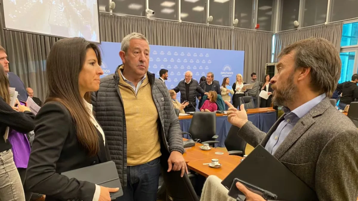 UCR y la bandera de las universidades: silencios, marcha y los votos al veto de Milei