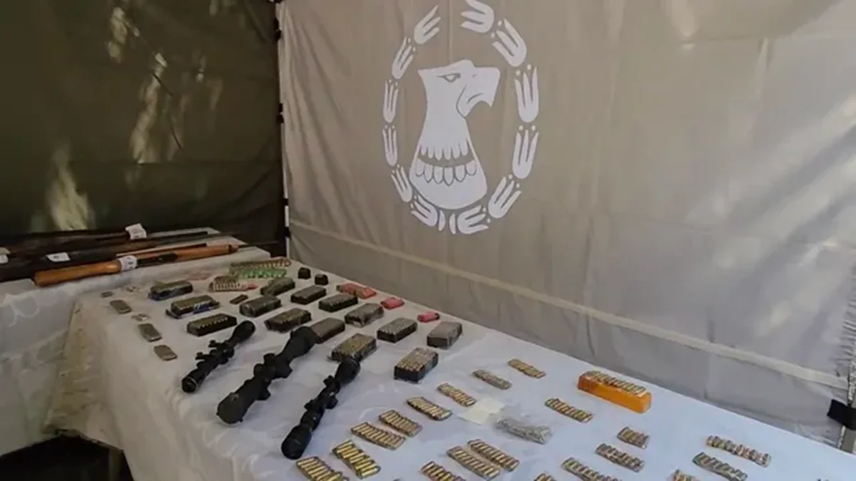 VIDEO: Descubren arsenal enterrado en el Gran Rosario: fusiles tipo AK-47, pistolas y millones en efectivo