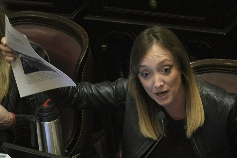 La senadora nacional Anabel Fern&aacute;ndez Sagasti lidera al sector kirchnerista en Mendoza y arm&oacute; una alianza por fuera del PJ.&nbsp;