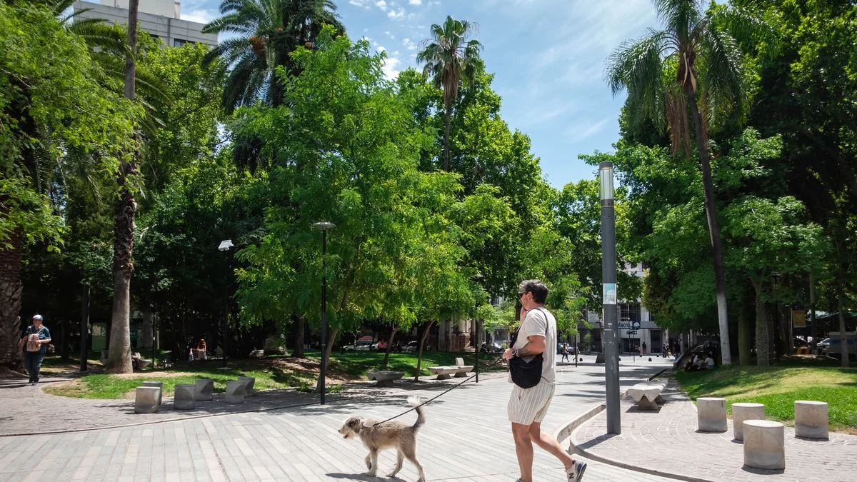 Mendoza, inaguantable: se esperan cuatro días seguidos con máximas de 40º