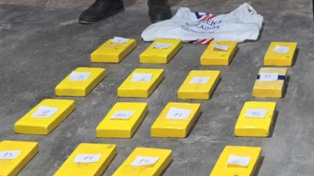 Cocaína entre bananas: un camionero alertó y hallaron más de 60 kilos que tenían a Mendoza como destino