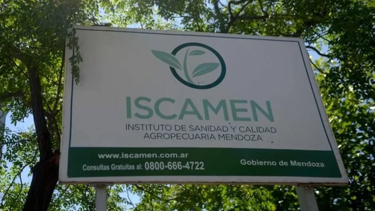 ISCAMEN: 21 empleados se sumaron al reclamo al Gobierno por errores en la liquidación de haberes